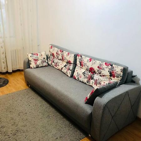 Nice Apt Near Spitalul Judetean, All You Need Lr14 Τιμισοάρα Εξωτερικό φωτογραφία