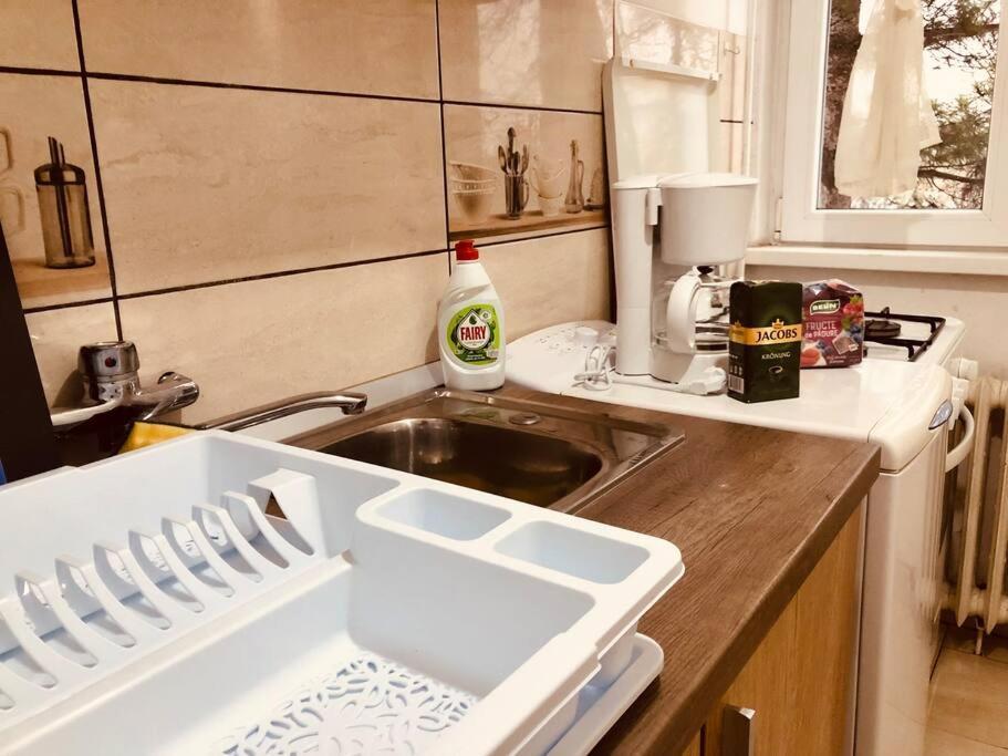 Nice Apt Near Spitalul Judetean, All You Need Lr14 Τιμισοάρα Εξωτερικό φωτογραφία