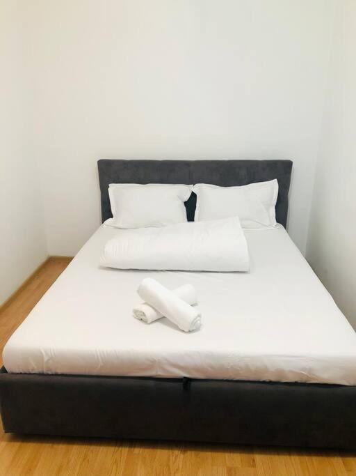 Nice Apt Near Spitalul Judetean, All You Need Lr14 Τιμισοάρα Εξωτερικό φωτογραφία
