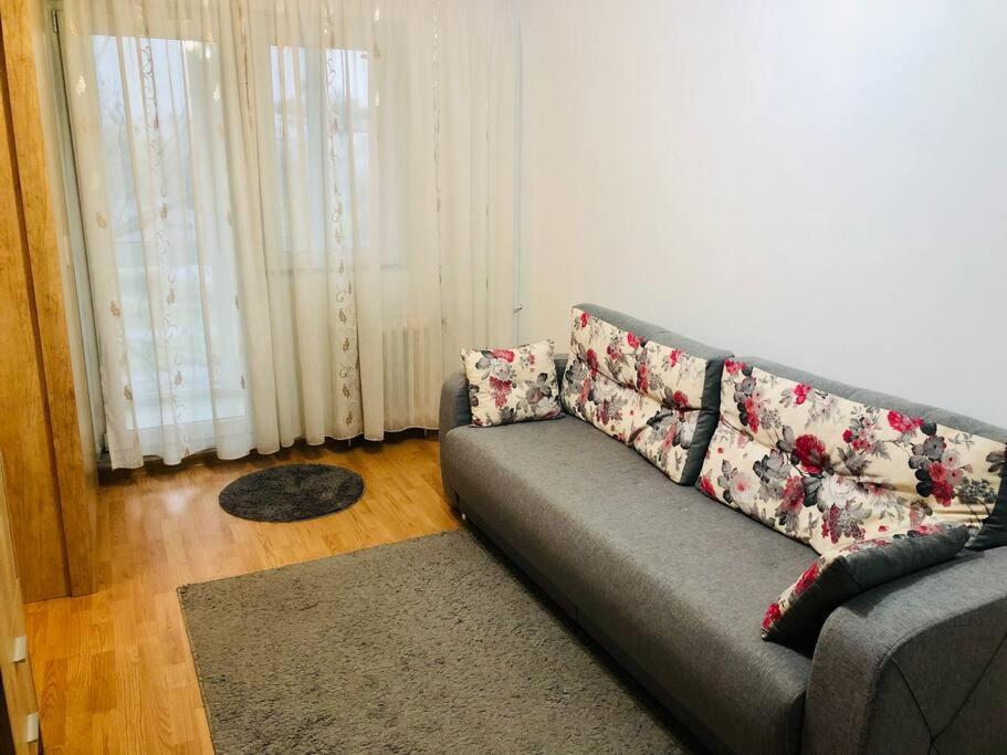 Nice Apt Near Spitalul Judetean, All You Need Lr14 Τιμισοάρα Εξωτερικό φωτογραφία