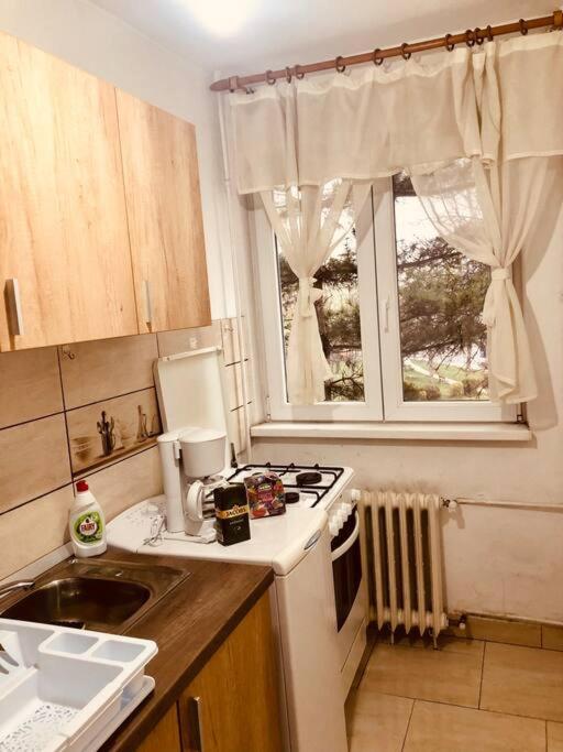 Nice Apt Near Spitalul Judetean, All You Need Lr14 Τιμισοάρα Εξωτερικό φωτογραφία