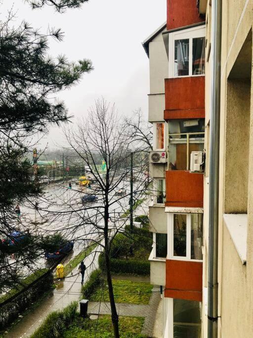 Nice Apt Near Spitalul Judetean, All You Need Lr14 Τιμισοάρα Εξωτερικό φωτογραφία