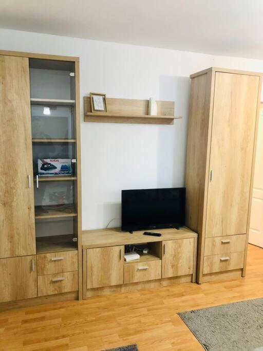 Nice Apt Near Spitalul Judetean, All You Need Lr14 Τιμισοάρα Εξωτερικό φωτογραφία