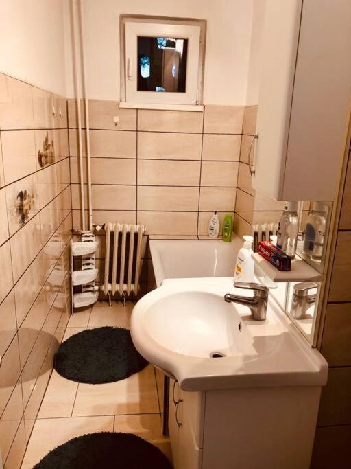Nice Apt Near Spitalul Judetean, All You Need Lr14 Τιμισοάρα Εξωτερικό φωτογραφία