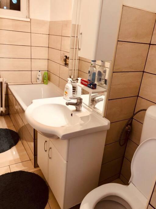 Nice Apt Near Spitalul Judetean, All You Need Lr14 Τιμισοάρα Εξωτερικό φωτογραφία