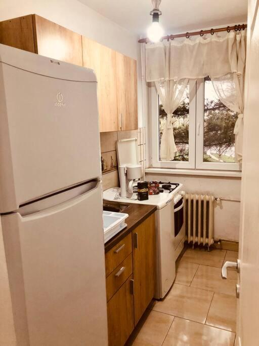 Nice Apt Near Spitalul Judetean, All You Need Lr14 Τιμισοάρα Εξωτερικό φωτογραφία