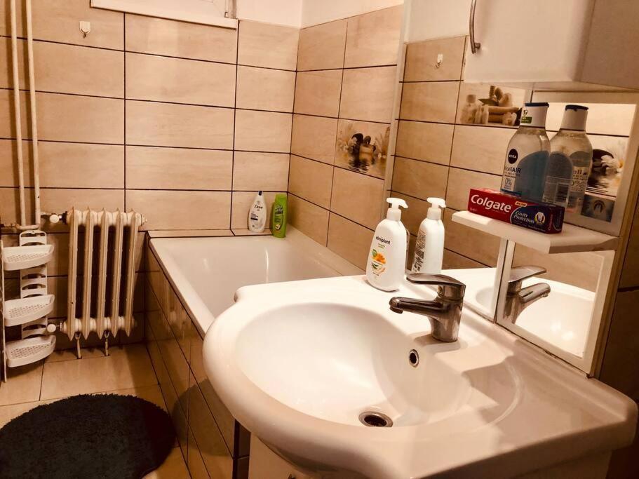 Nice Apt Near Spitalul Judetean, All You Need Lr14 Τιμισοάρα Εξωτερικό φωτογραφία