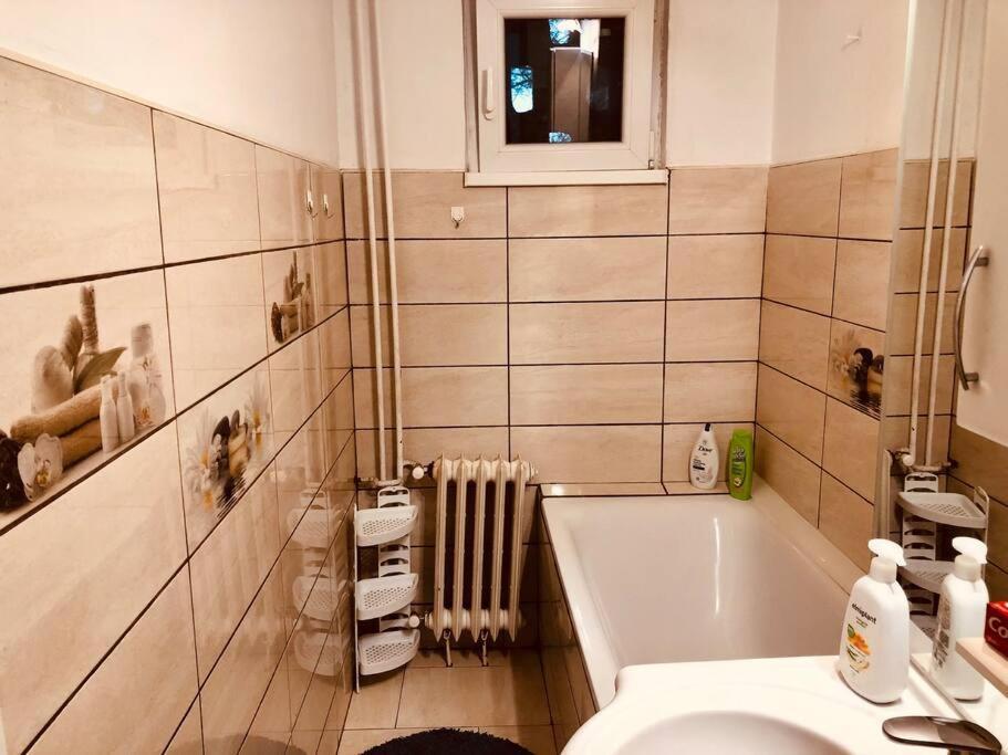 Nice Apt Near Spitalul Judetean, All You Need Lr14 Τιμισοάρα Εξωτερικό φωτογραφία