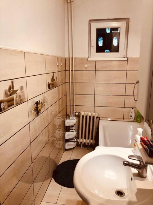 Nice Apt Near Spitalul Judetean, All You Need Lr14 Τιμισοάρα Εξωτερικό φωτογραφία
