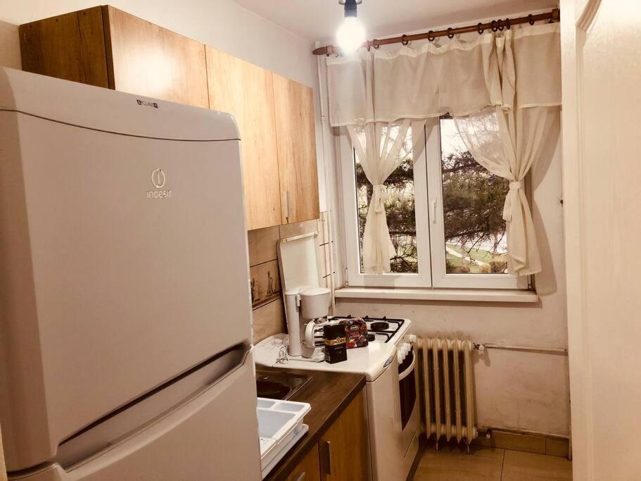 Nice Apt Near Spitalul Judetean, All You Need Lr14 Τιμισοάρα Εξωτερικό φωτογραφία
