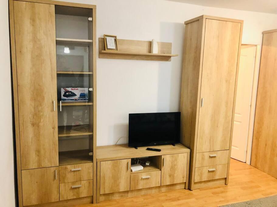Nice Apt Near Spitalul Judetean, All You Need Lr14 Τιμισοάρα Εξωτερικό φωτογραφία
