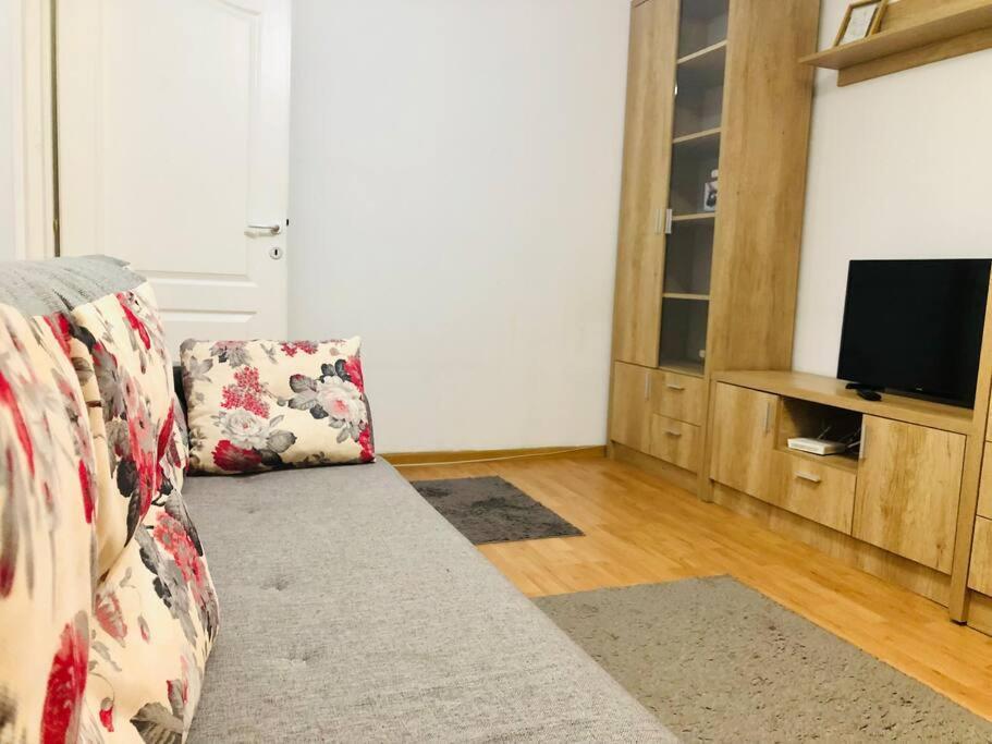 Nice Apt Near Spitalul Judetean, All You Need Lr14 Τιμισοάρα Εξωτερικό φωτογραφία