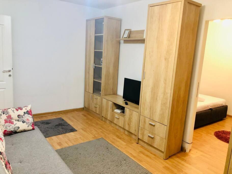 Nice Apt Near Spitalul Judetean, All You Need Lr14 Τιμισοάρα Εξωτερικό φωτογραφία